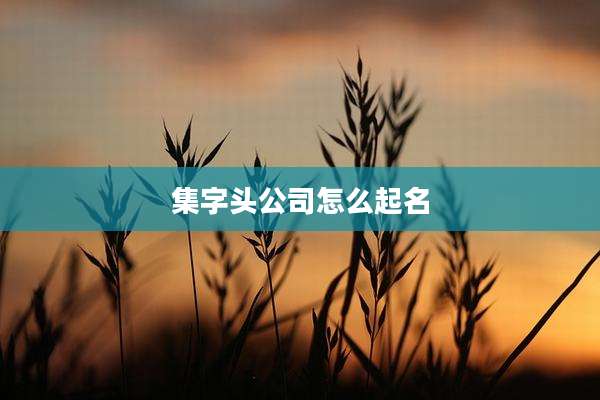 集字头公司怎么起名