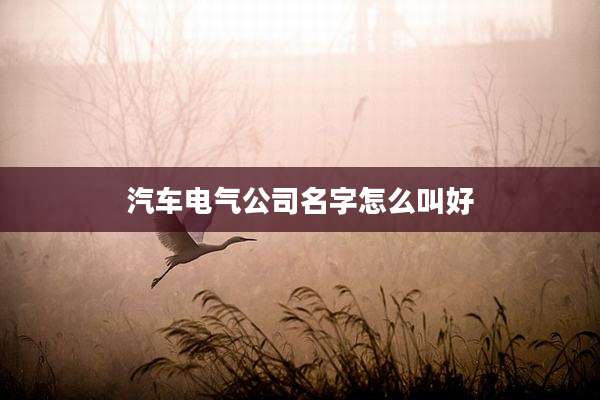 汽车电气公司名字怎么叫好