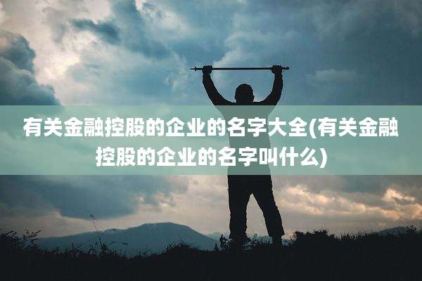 有关金融控股的企业的名字大全(有关金融控股的企业的名字叫什么)
