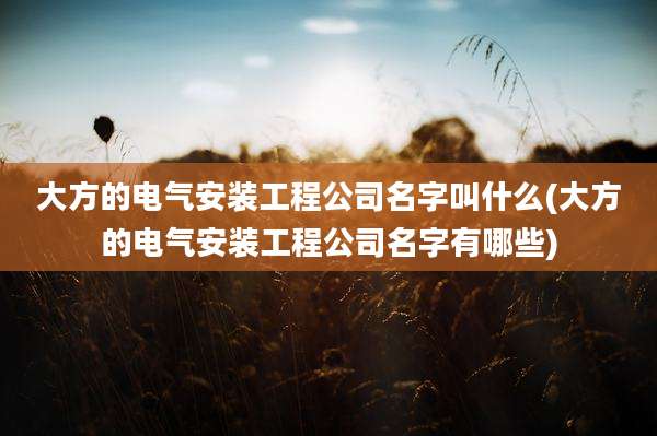 大方的电气安装工程公司名字叫什么(大方的电气安装工程公司名字有哪些)