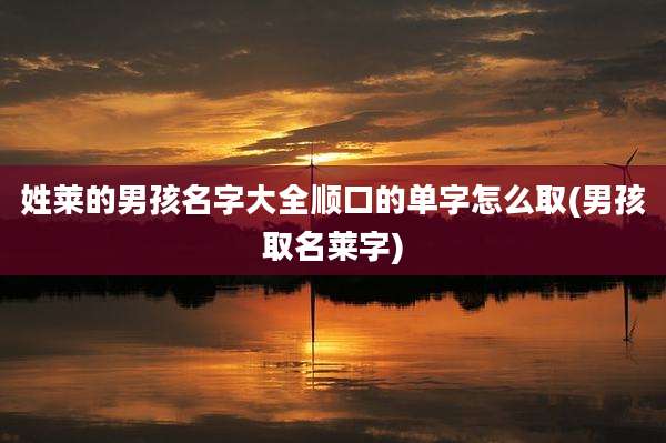 姓莱的男孩名字大全顺口的单字怎么取(男孩取名莱字)