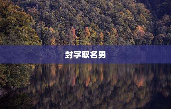 封字取名男