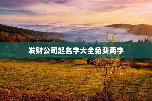 发财公司起名字大全免费两字
