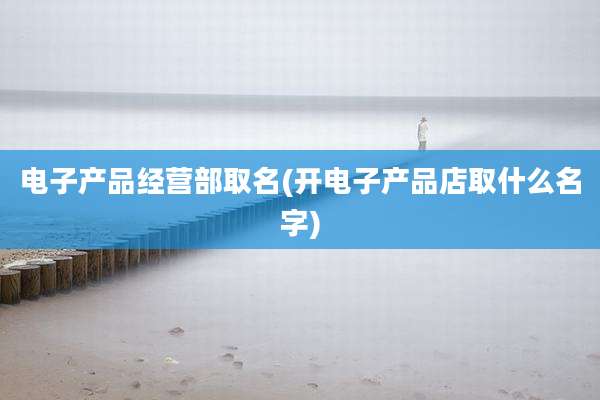电子产品经营部取名(开电子产品店取什么名字)