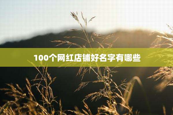 100个网红店铺好名字有哪些