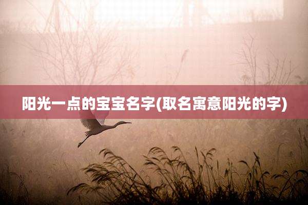 阳光一点的宝宝名字(取名寓意阳光的字)