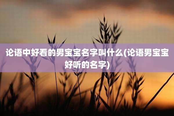 论语中好看的男宝宝名字叫什么(论语男宝宝好听的名字)