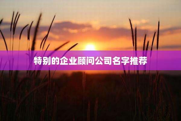 特别的企业顾问公司名字推荐
