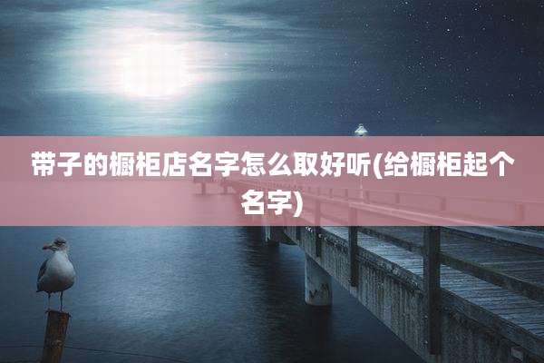 带子的橱柜店名字怎么取好听(给橱柜起个名字)