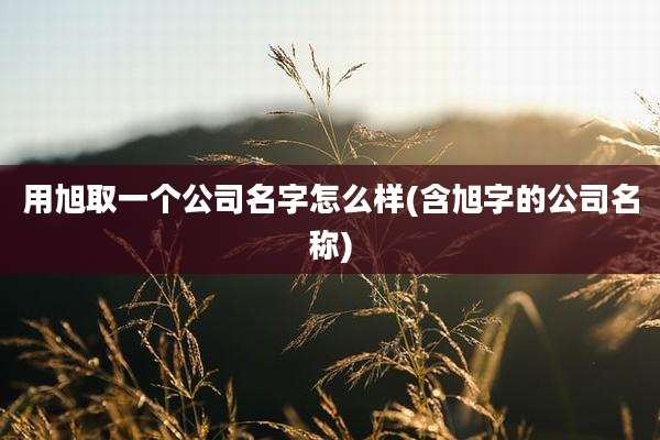 用旭取一个公司名字怎么样(含旭字的公司名称)