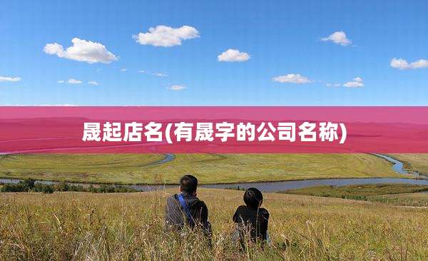 晟起店名(有晟字的公司名称)