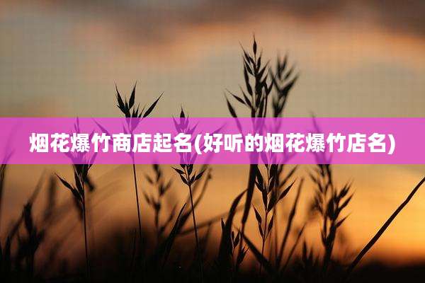 烟花爆竹商店起名(好听的烟花爆竹店名)