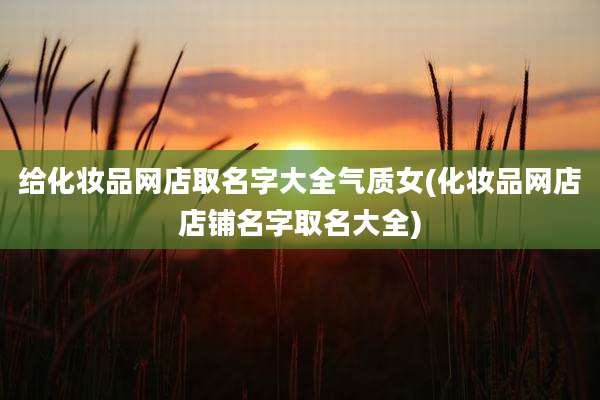 给化妆品网店取名字大全气质女(化妆品网店店铺名字取名大全)