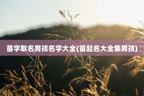 苗字取名男孩名字大全(苗起名大全集男孩)