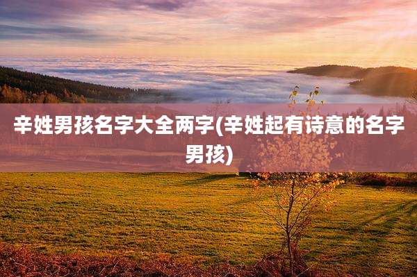 辛姓男孩名字大全两字(辛姓起有诗意的名字男孩)
