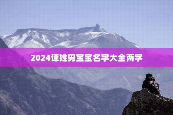 2024谭姓男宝宝名字大全两字