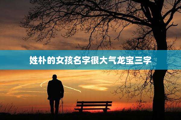 姓朴的女孩名字很大气龙宝三字