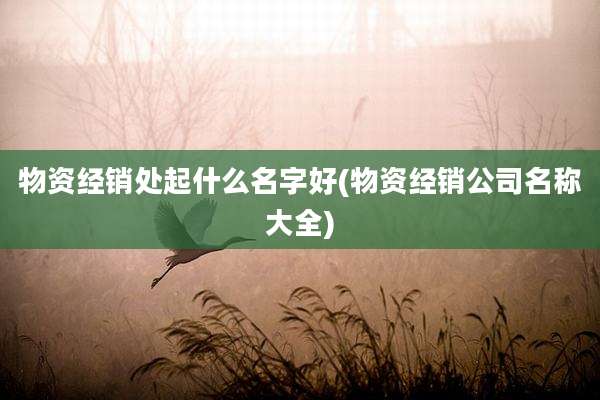 物资经销处起什么名字好(物资经销公司名称大全)