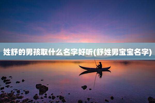姓舒的男孩取什么名字好听(舒姓男宝宝名字)