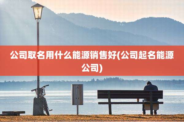 公司取名用什么能源销售好(公司起名能源公司)
