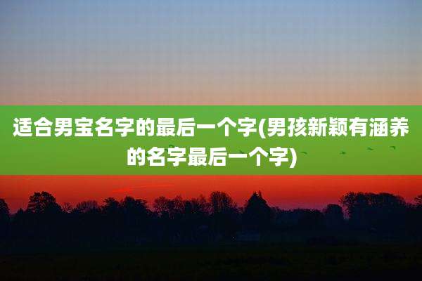 适合男宝名字的最后一个字(男孩新颖有涵养的名字最后一个字)
