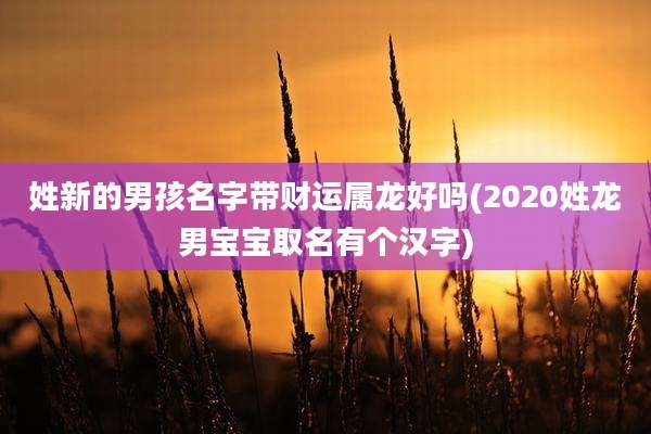 姓新的男孩名字带财运属龙好吗(2020姓龙男宝宝取名有个汉字)