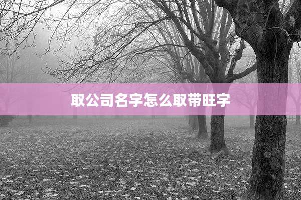 取公司名字怎么取带旺字