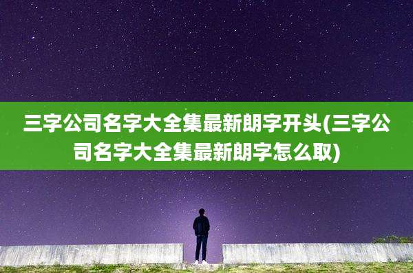 三字公司名字大全集最新朗字开头(三字公司名字大全集最新朗字怎么取)
