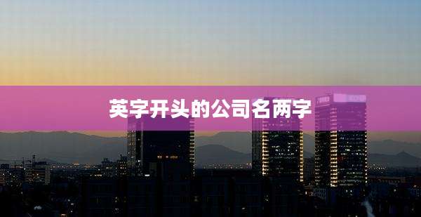 英字开头的公司名两字