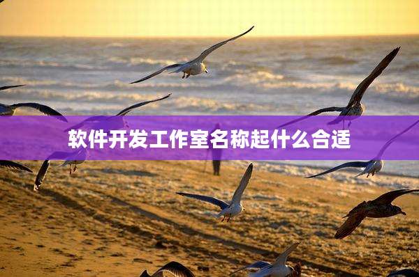 软件开发工作室名称起什么合适
