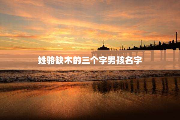 姓骆缺木的三个字男孩名字