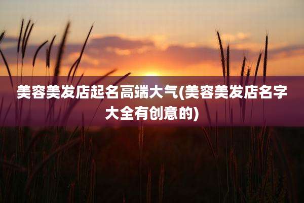美容美发店起名高端大气(美容美发店名字大全有创意的)