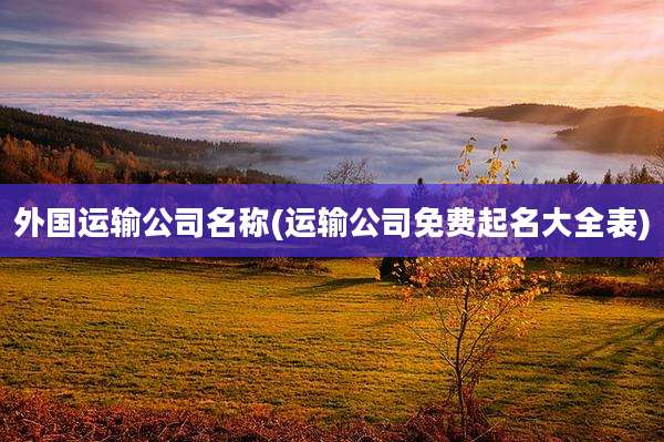外国运输公司名称(运输公司免费起名大全表)