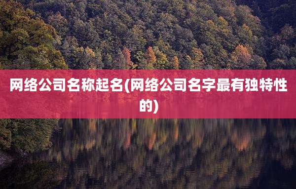 网络公司名称起名(网络公司名字最有独特性的)