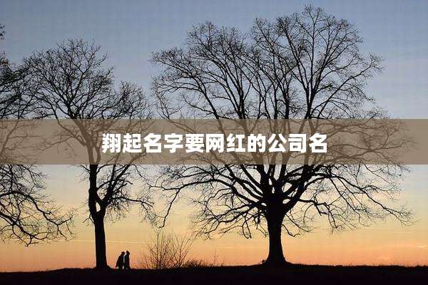 翔起名字要网红的公司名