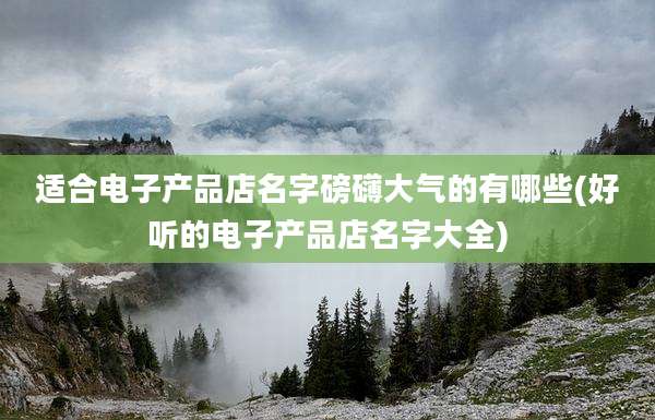 适合电子产品店名字磅礴大气的有哪些(好听的电子产品店名字大全)