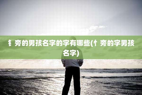 钅旁的男孩名字的字有哪些(忄旁的字男孩名字)