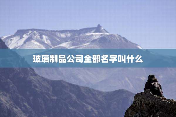 玻璃制品公司全部名字叫什么