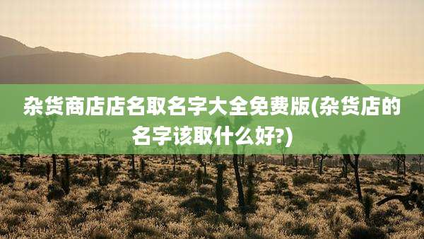 杂货商店店名取名字大全免费版(杂货店的名字该取什么好?)