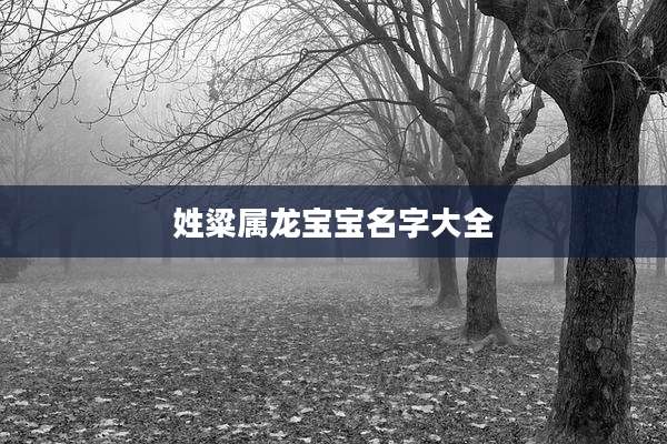 姓粱属龙宝宝名字大全