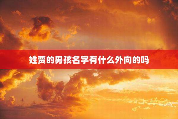 姓贾的男孩名字有什么外向的吗