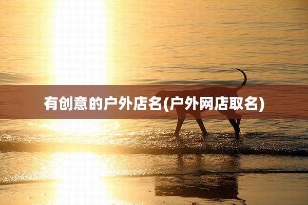 有创意的户外店名(户外网店取名)