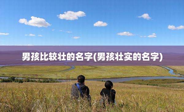 男孩比较壮的名字(男孩壮实的名字)