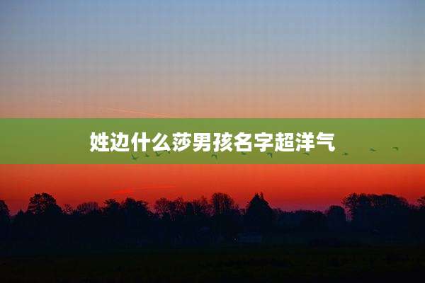 姓边什么莎男孩名字超洋气