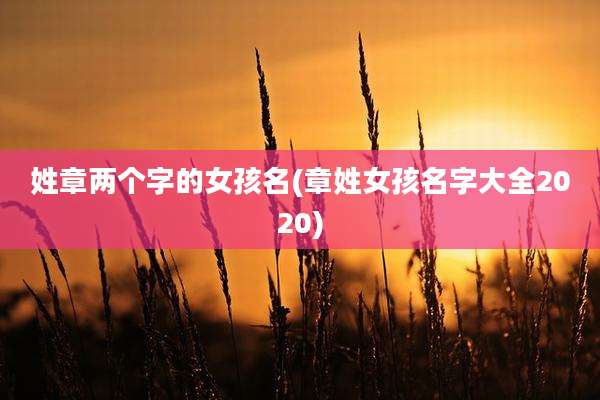 姓章两个字的女孩名(章姓女孩名字大全2020)