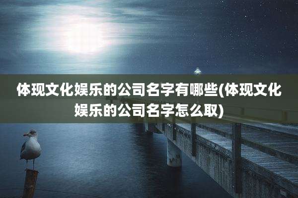体现文化娱乐的公司名字有哪些(体现文化娱乐的公司名字怎么取)