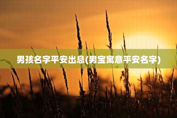男孩名字平安出息(男宝寓意平安名字)