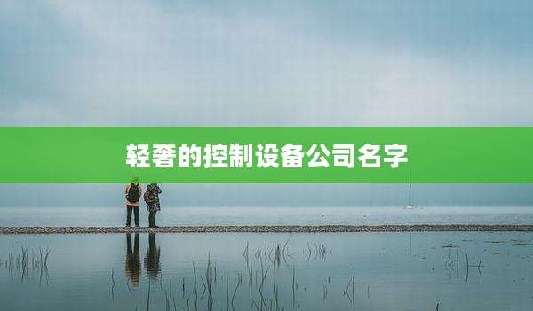轻奢的控制设备公司名字