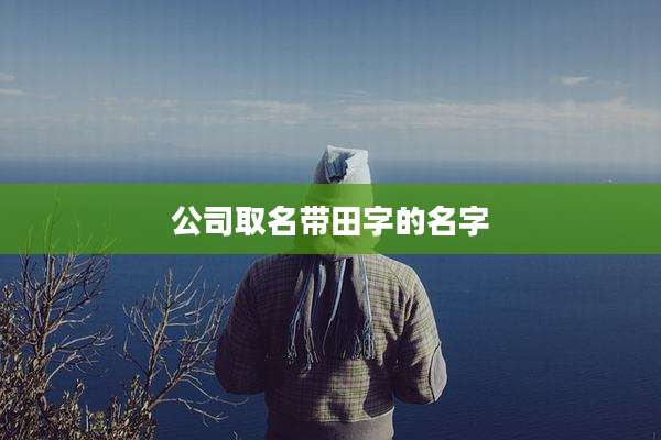 公司取名带田字的名字