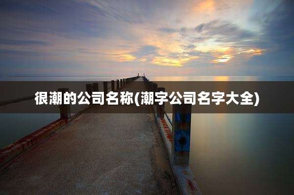 很潮的公司名称(潮字公司名字大全)